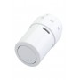 DANFOSS Термостат. элементы RAX белый RAL9016 013G6070 DANFOSS Термостат. элементы RAX белый RAL9016 013G6070