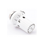 DANFOSS RTRW-K 7084 Термостатический элемент 013G7084 DANFOSS RTRW-K 7084 Термостатический элемент 013G7084
