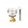 DANFOSS 067G3302 — TE 55 Элемент термостатический 067G3302 DANFOSS 067G3302 — TE 55 Элемент термостатический 067G3302